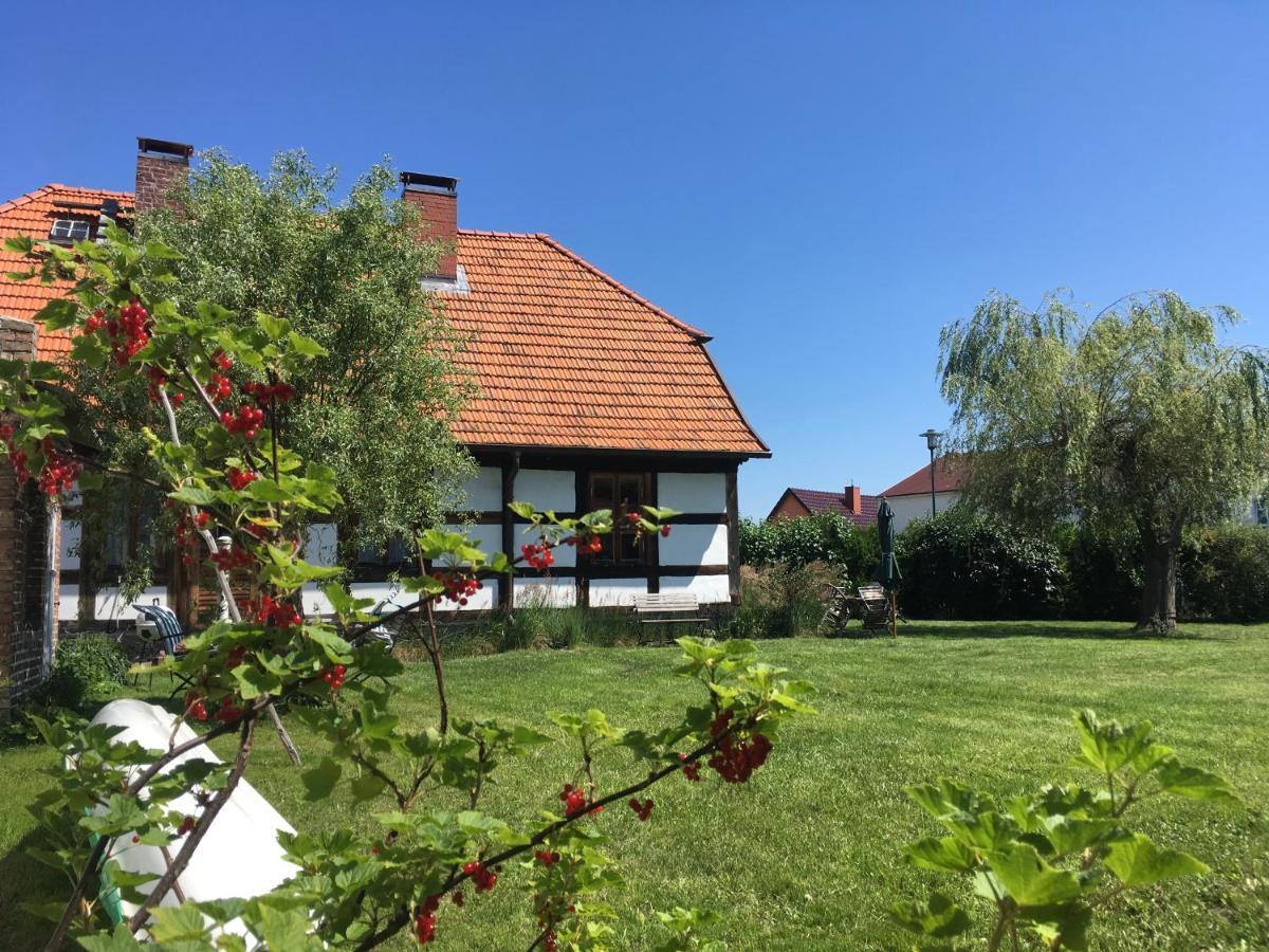 Fischerhaus Godewind 60 Qm Altwarp Kültér fotó