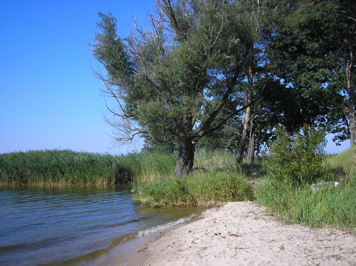 Fischerhaus Godewind 60 Qm Altwarp Kültér fotó